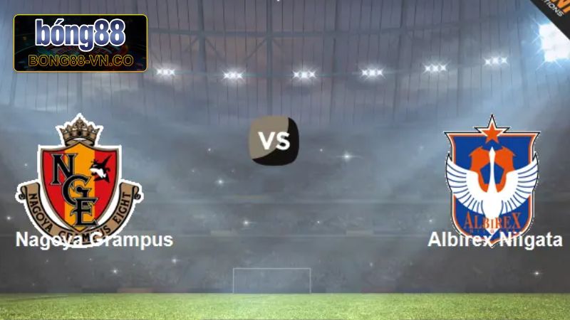 Nhận Định Nagoya Grampus Vs Albirex Niigata 12h 31/7 Cùng Bong88 