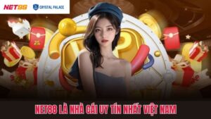 Net88 Nhà Cái Uy Tín Nhất Việt Nam - Điểm Đến Chất Lượng 
