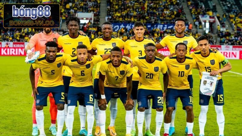 Soi Kèo Ecuador Vs Brazil - Cuộc Chạm Trán Vào 6h00, Ngày 6/6 3 Phong độ hiện tại của Ecuador