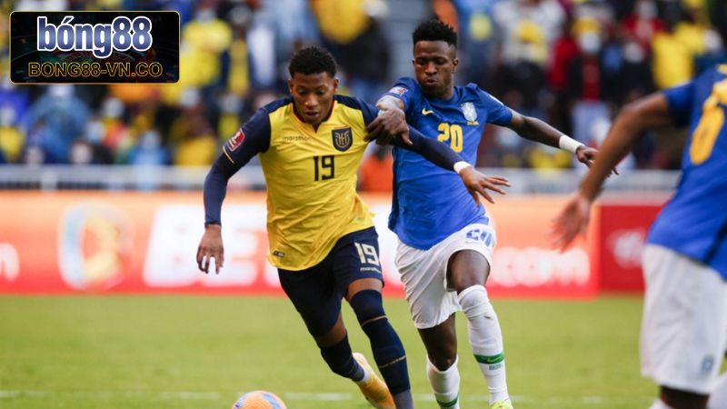 Soi Kèo Ecuador Vs Brazil - Cuộc Chạm Trán Vào 6h00, Ngày 6/6 4 Nhận định kèo chấp trong trận Ecuador - Brazil